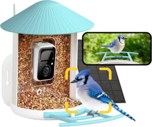 The Ultimate Guide To Smart Bird Feeders: Top Features To Look For